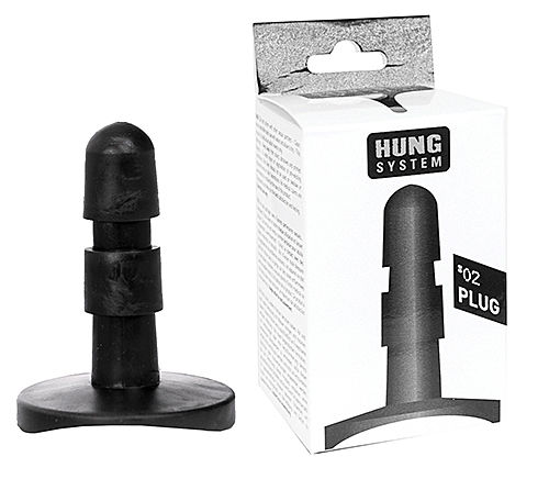 Insert Plug Hung System